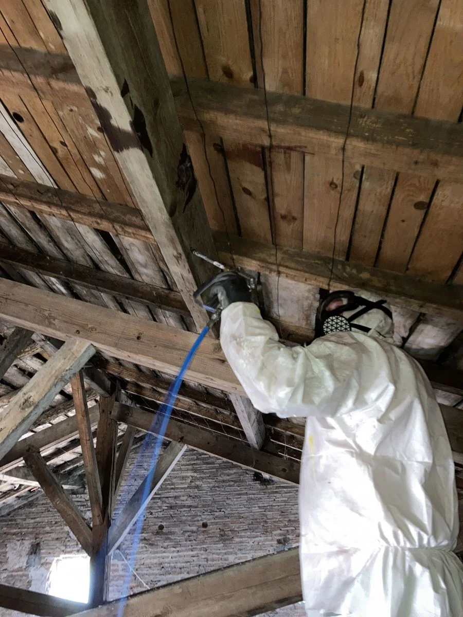 traitement charpente bois 33